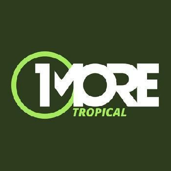 1MORE Tropical