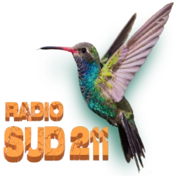 radio sud211