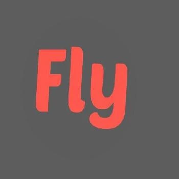 Fly Airlines